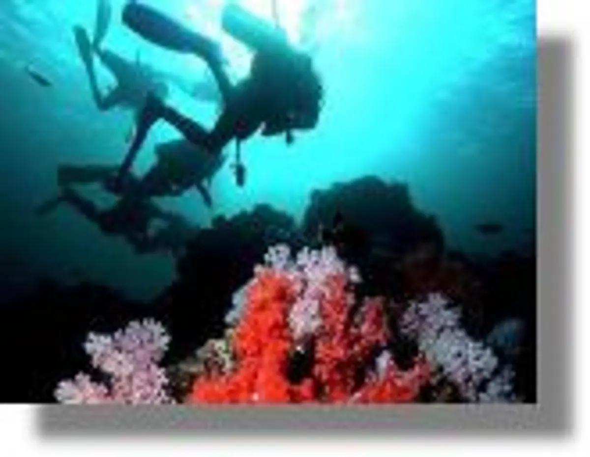 Σχέδια για καταδυτικά πάρκα σε Λέρο, Πάτμο, Λειψούς και Πάφο