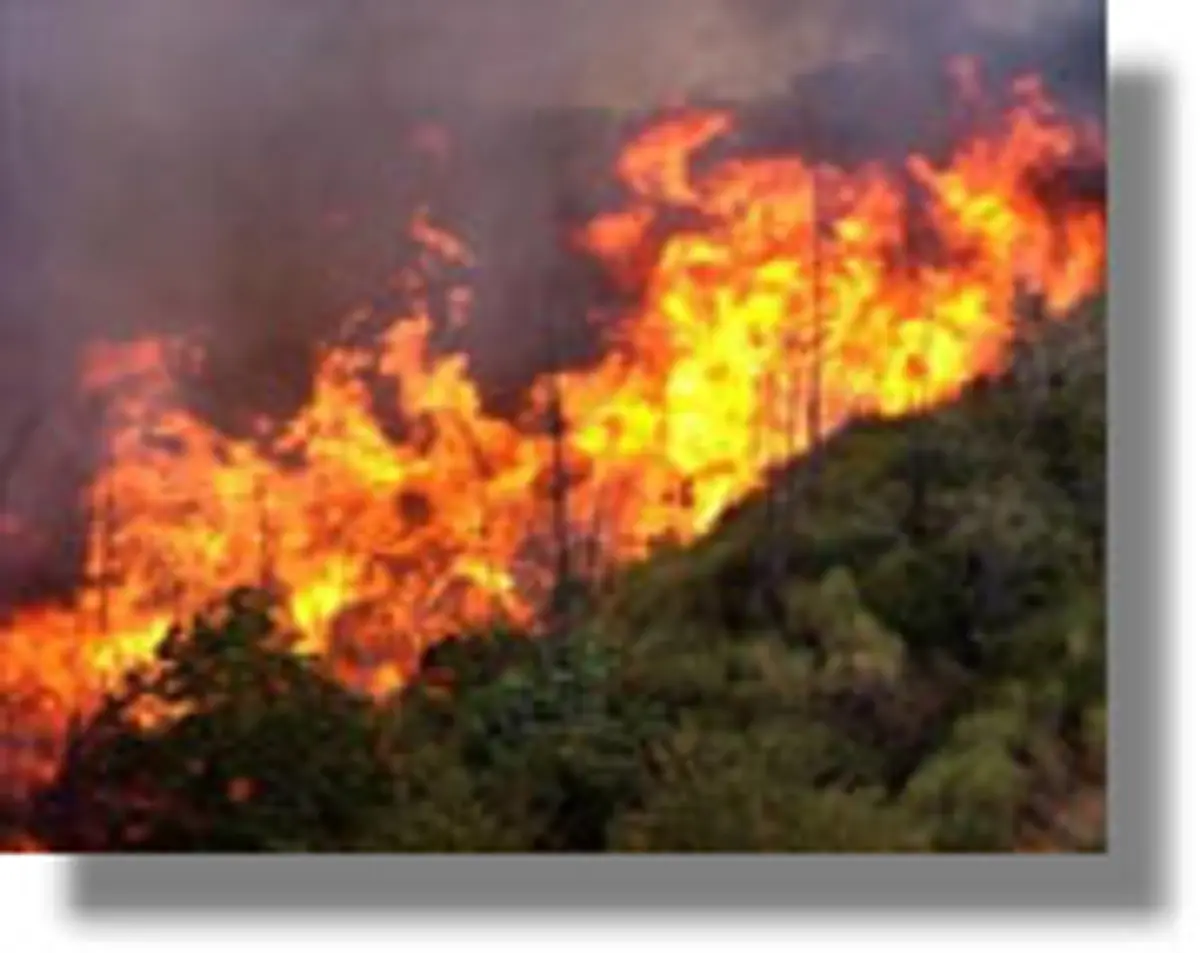 Λέρος: Πυρκαγιά ξέσπασε στην Μερικιά! Ανιχνεύθηκε αυτοσχέδιος εμπρηστικός μηχανισμός!
