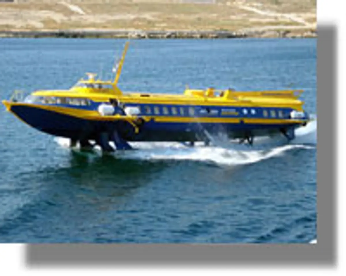 δελφίνι στο Αγαθονήσι