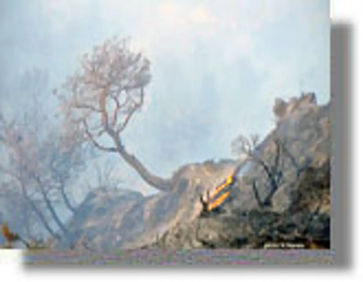 Προέκυψε μείζον θέμα στο Δ.Σ. Λέρου με την επιστολή σύστασης νέας Δημοτικής Παράταξης!