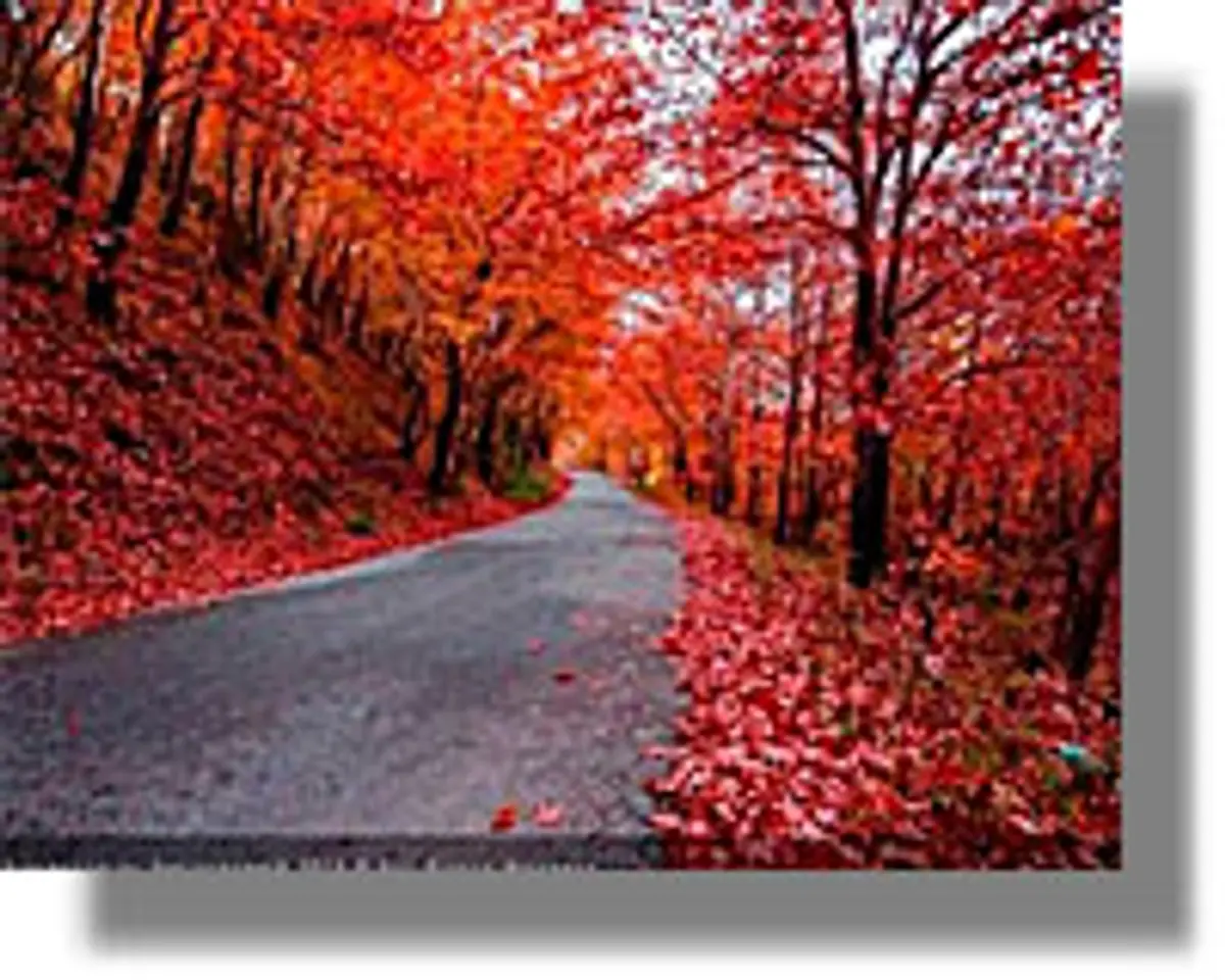 Η Microsoft αγόρασε φωτογραφία ερασιτέχνη που διαμένει στην Κω