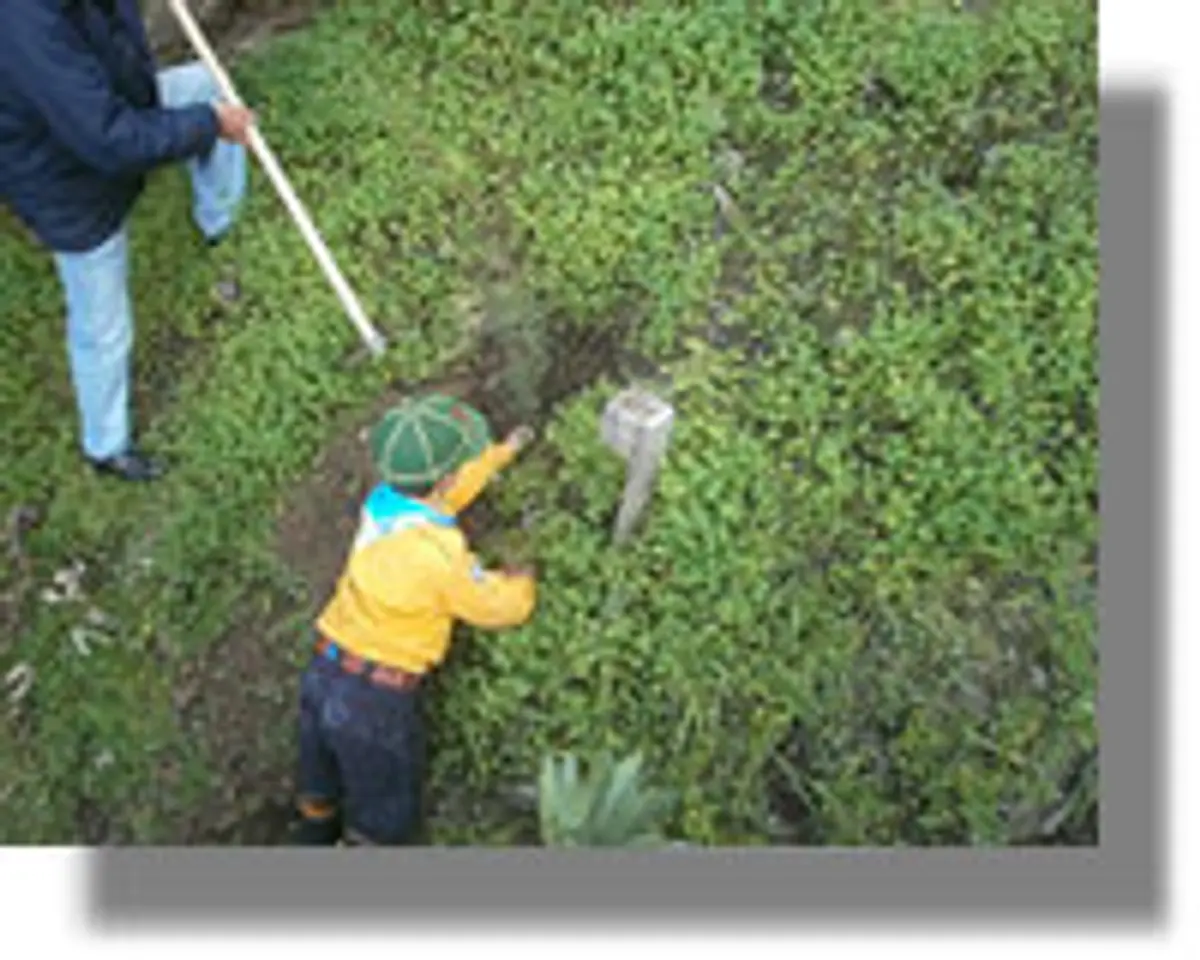 Εκατοντάδες φυτά «πρασίνισαν» τη Λέρο
