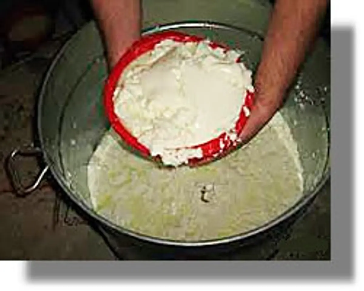 παραδοσιακά τυριά