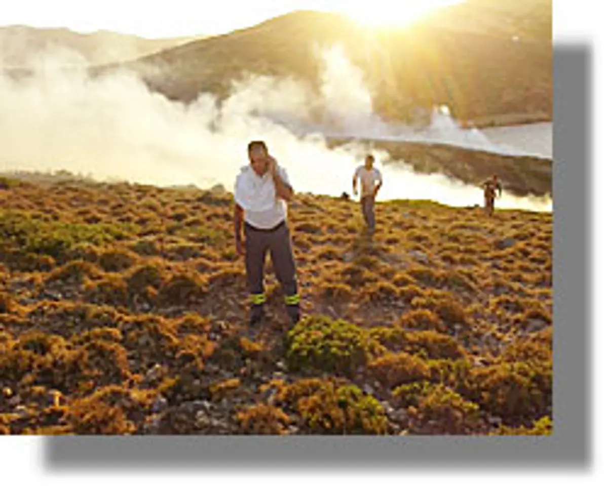 πυρκαγιά Παρθένι