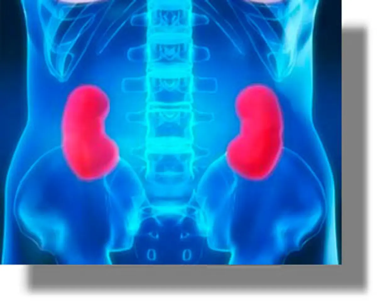 Δείτε 3 συμπτώματα, που μπορεί να κρύβουν πρόβλημα στους νεφρούς