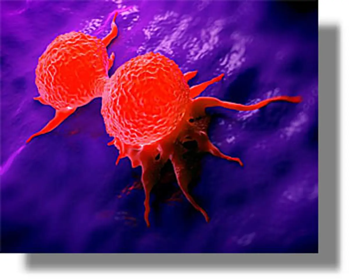 H λίστα του ΤΡΟΜΟΥ: Τα 116 πράγματα που προκαλούν καρκίνο, σύμφωνα με τον Παγκόσμιο Οργανισμό Υγείας