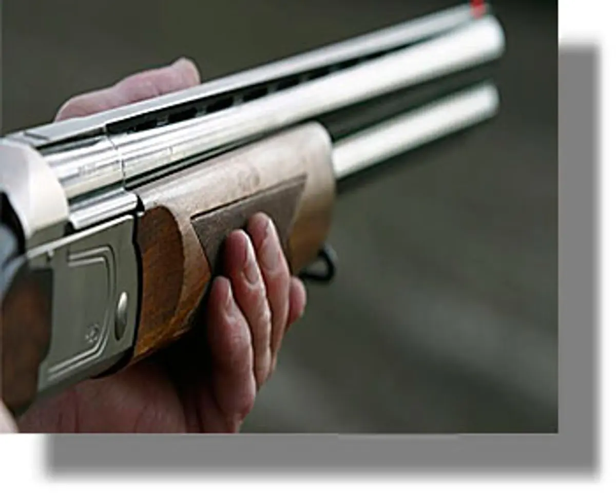 ΑΣΤΥΠΑΛΑΙΑ: Σκότωσαν αδέσποτο σκυλί με κυνηγετικό όπλο!..