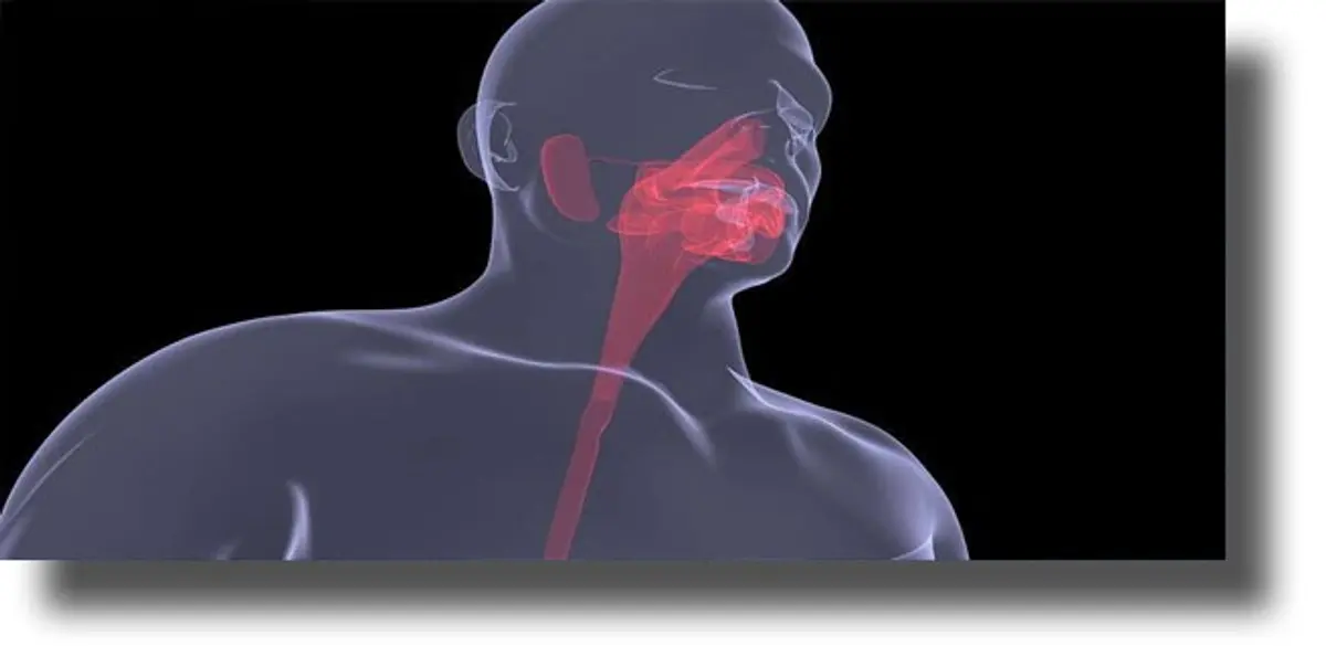 Επιστημονικές απαντήσεις για όσους ταλαιπωρούνται από καούρες