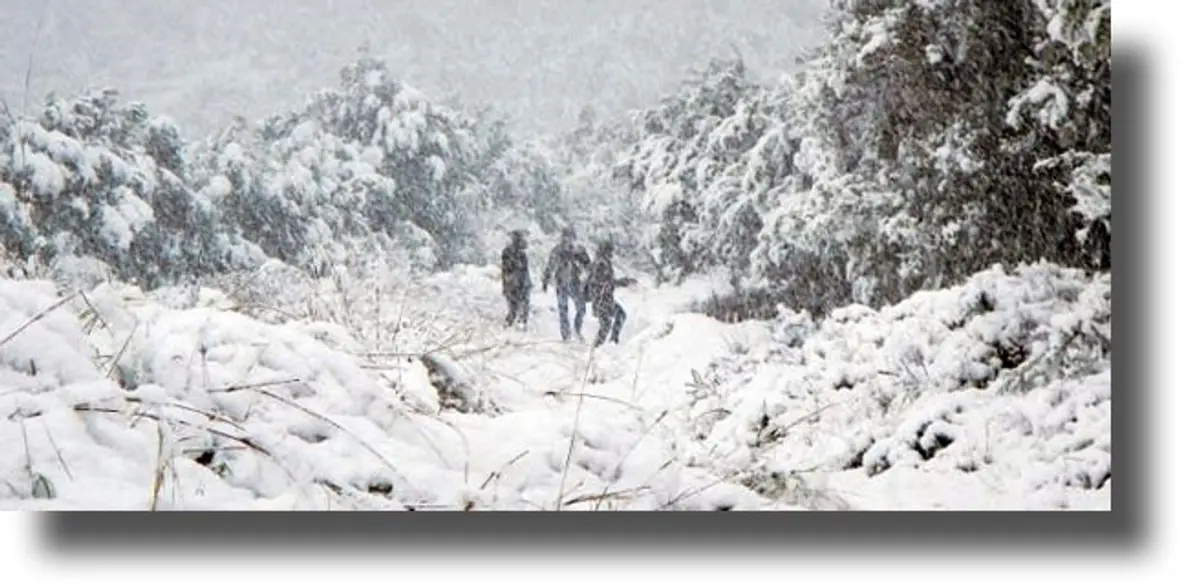 Ρεκόρ ψύχους τον Ιανουάριο – Τι δείχνουν τα μετεωρολογικά στοιχεία