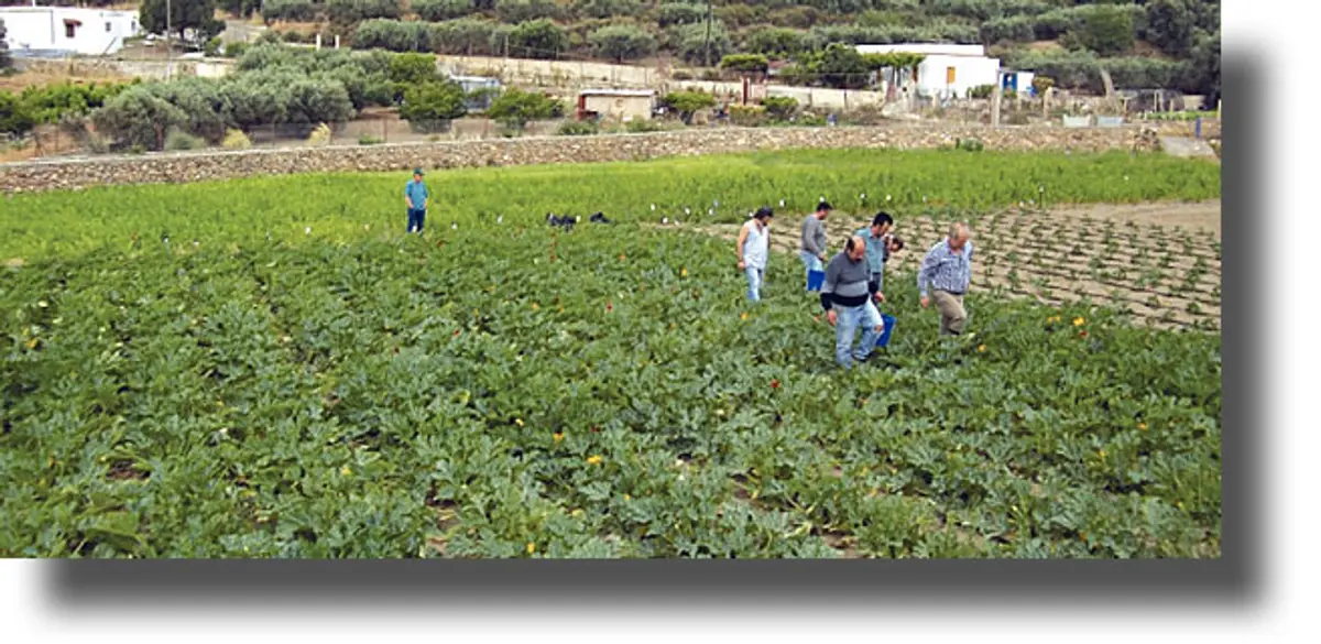 ΛΕΡΟΣ: Ο Κοι.Σ.Π.Ε επεκτείνεται και στην Ρόδο με την αρωγή της Περιφέρειας