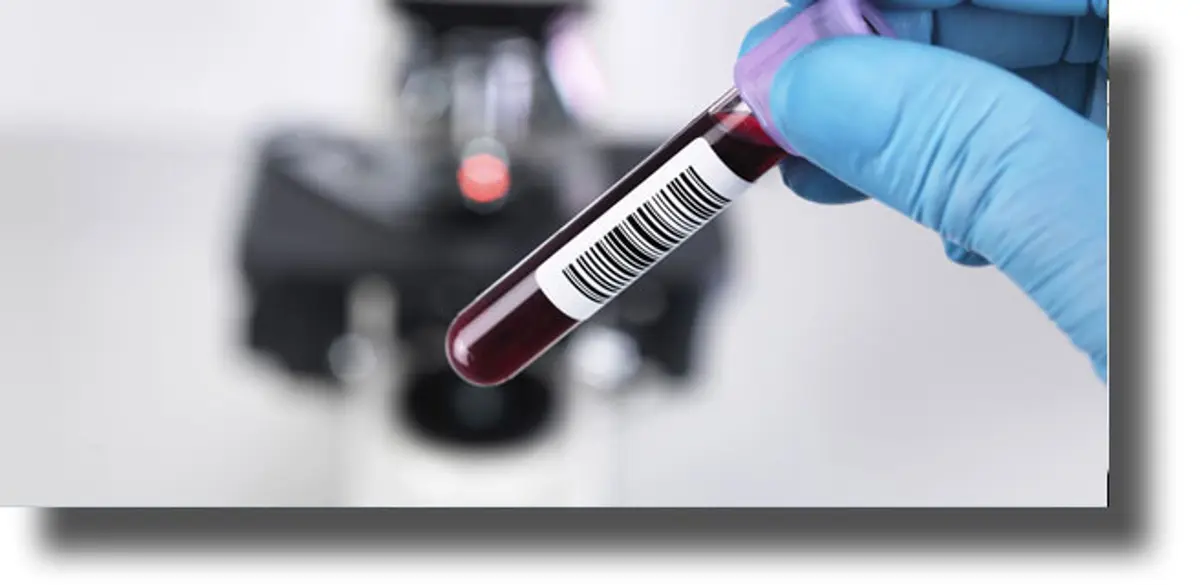 Ποια τροφή πολλαπλασιάζει τα καρκινικά κύτταρα;