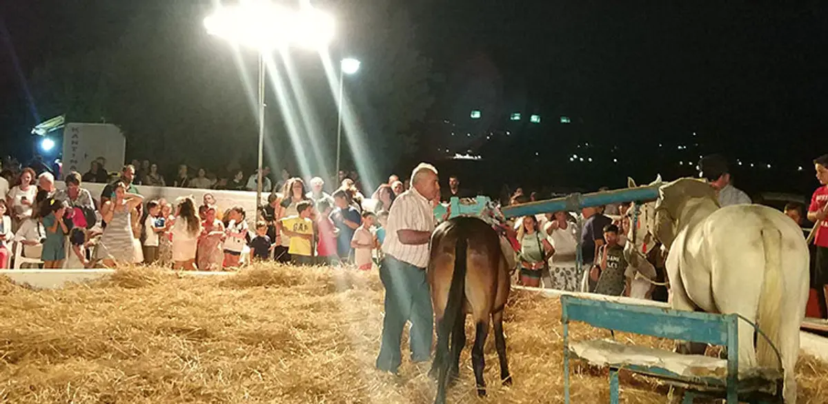 Λέρος: Πρόσκληση στη «Γιορτή Αλωνάρη – Αγρότη»