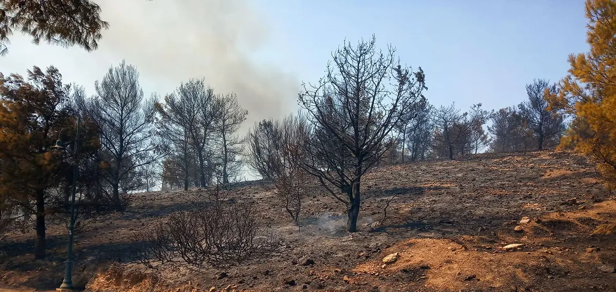Λέρος: Υπό έλεγχο η πυρκαγιά στη Μερικιά