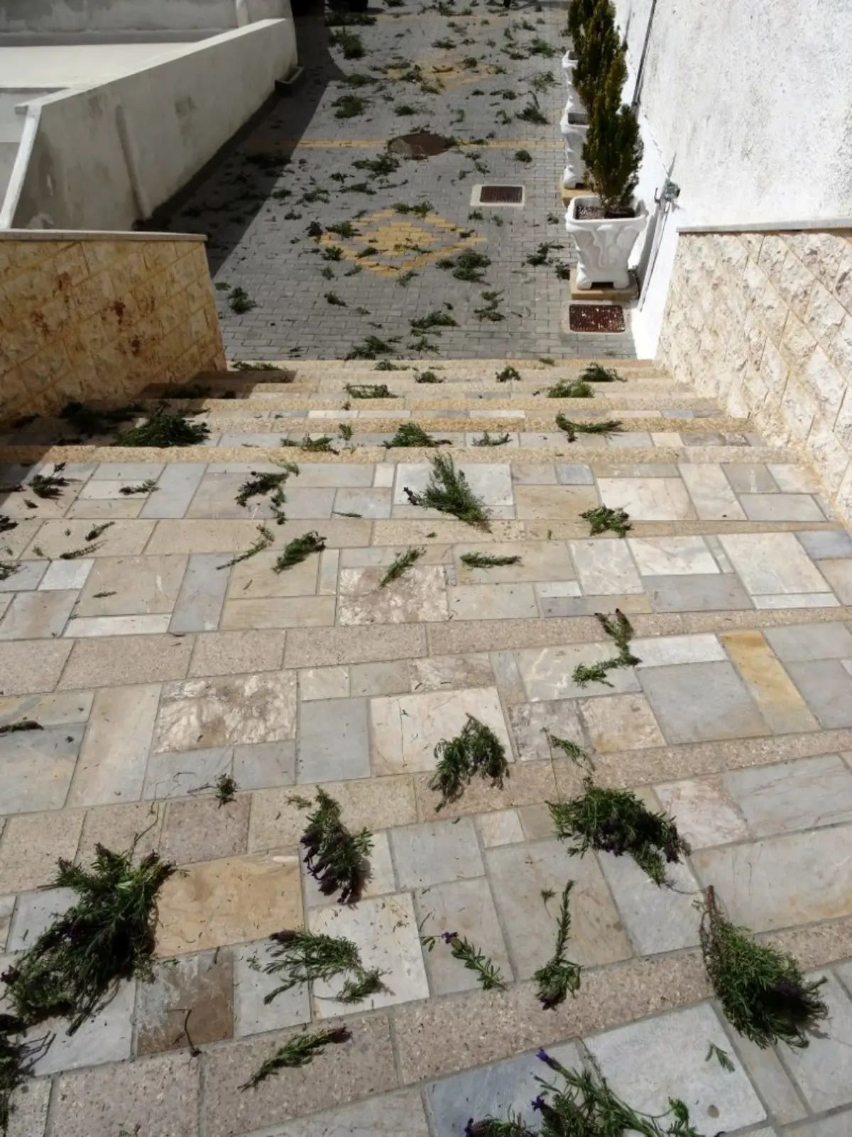 Δήμος Λέρου: Αναβίωση του πατροπαράδοτου εθίμου «ΛΑΜΠΡΕΣ» σε όλες της Ενορίες του νησιού