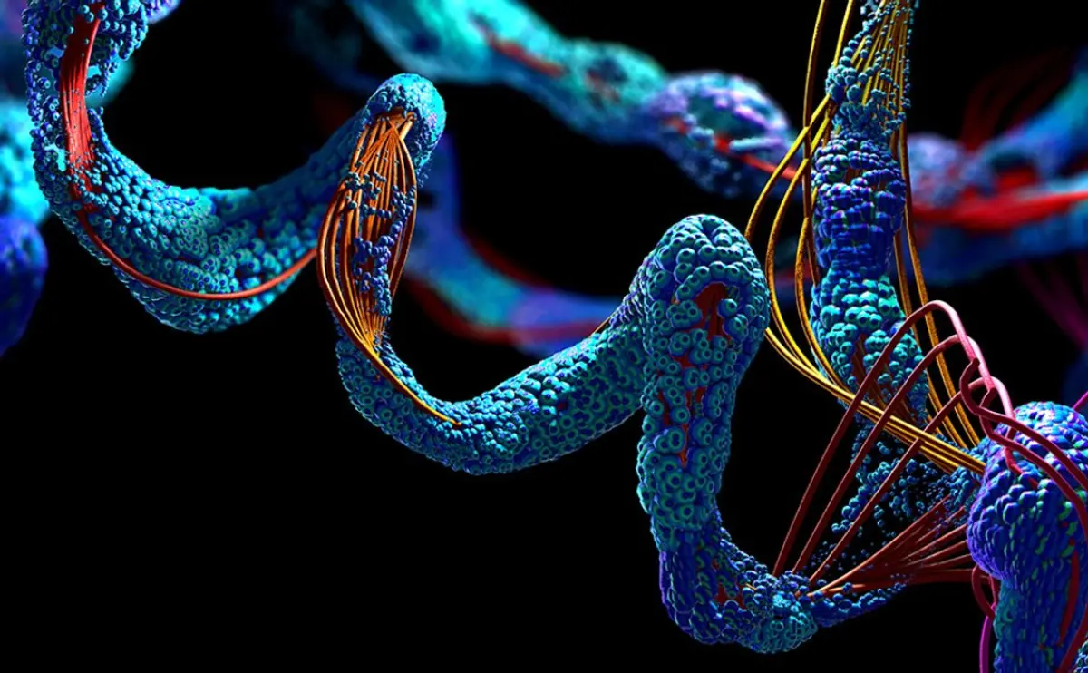 Τρισδιάστατος χάρτης πρωτεϊνών φέρνει επανάσταση στην ιατρική και άλλες επιστήμες