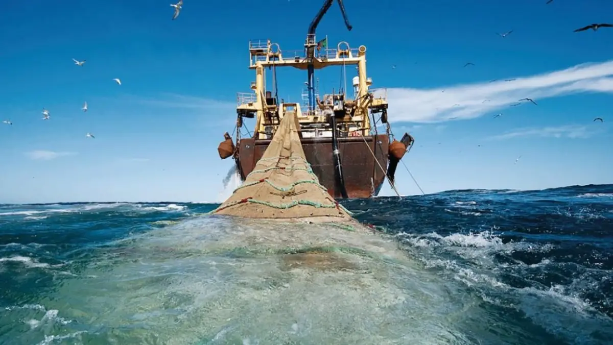 Δελτίο Τύπου της Εθνικής Ένωσης Πλοιοκτητών Επαγγελματιών Αλιέων «Η Μεσόγειος» για τη βιντζότρατα