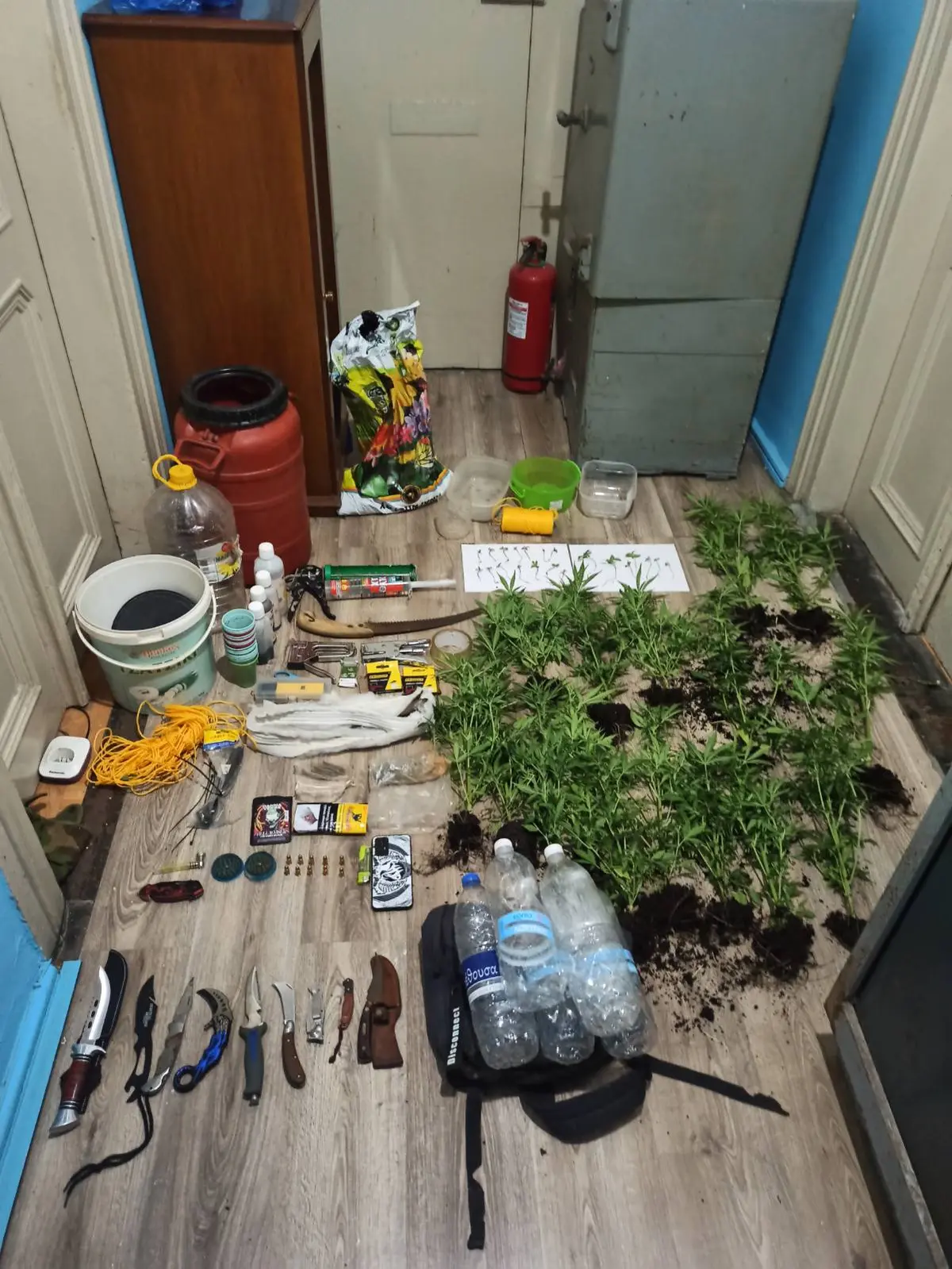 Κάλυμνος: Συνελήφθησαν επ’ αυτοφώρω δυο ημεδαποί για καλλιέργεια κάνναβης και οπλοκατοχή