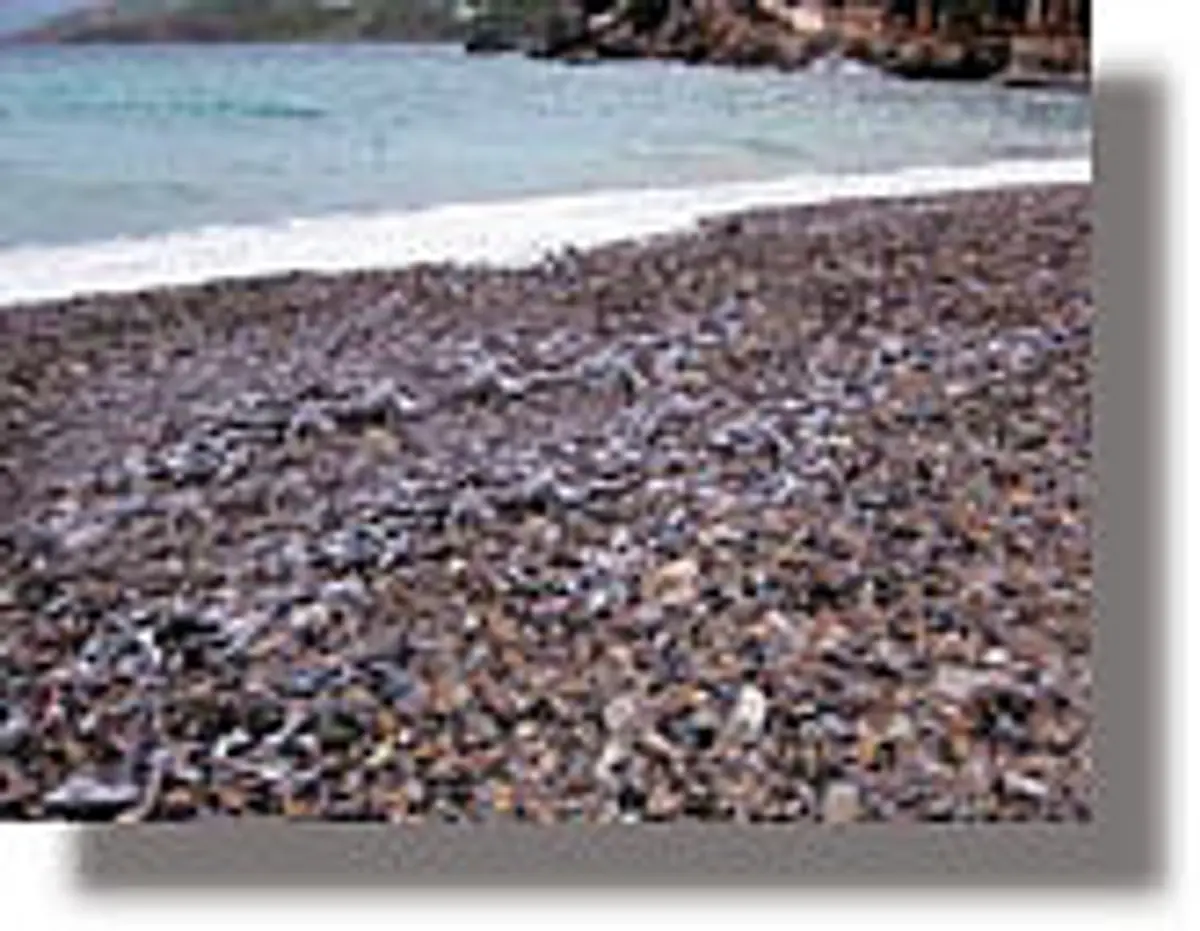 Γέμισε η παραλία στο Παντέλι Λέρου με …ψόφια ψάρια!