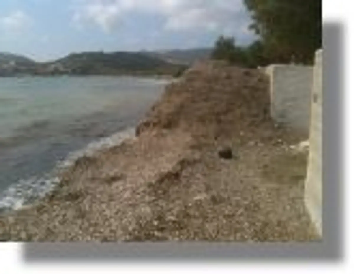 Τόνους με φύκια στην παραλία της Γούρνας – Απαράδεκτη κατάσταση με την καθαριότητα καταγγέλλουν οι δημότες στο Facebook!