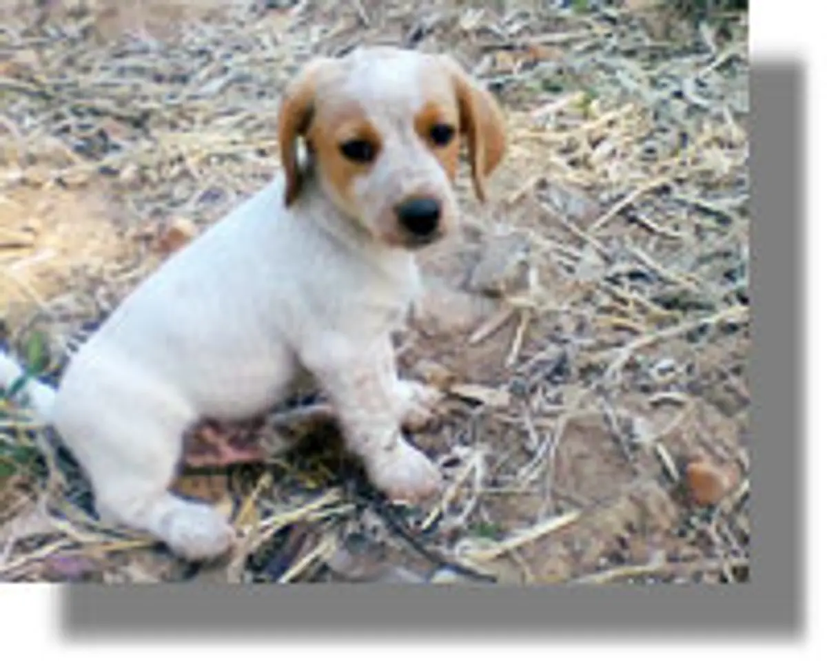 Εγκαταλείφθηκε ανάμεσα σε αφιλόξενους ανθρώπους...