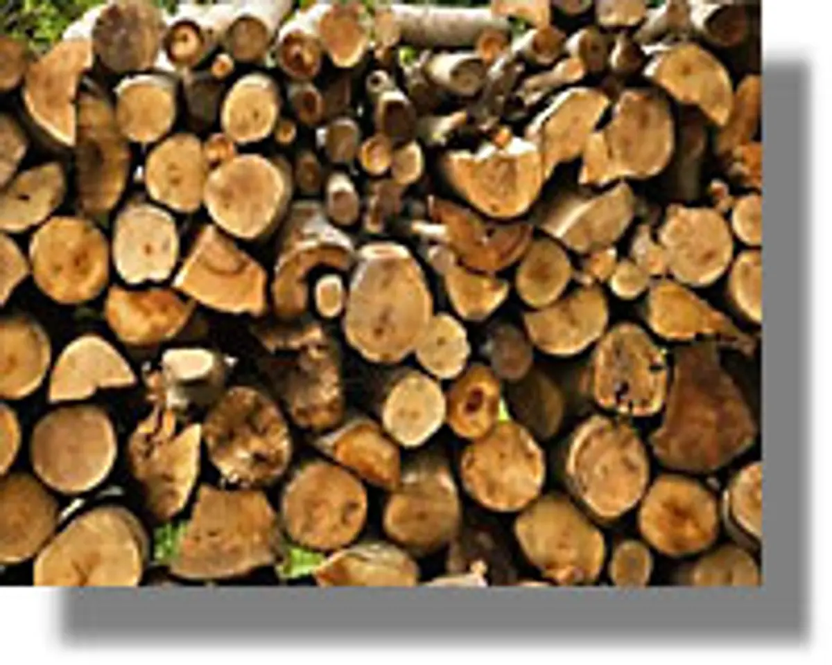 ΝΟΣΟΚΟΜΕΙΟ ΛΕΡΟΥ: Κόψτε τα δέντρα και πάρτε τα ξύλα...