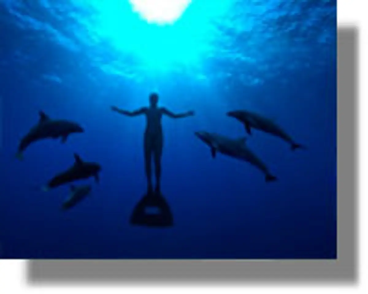 Προβολή ντοκιμαντέρ