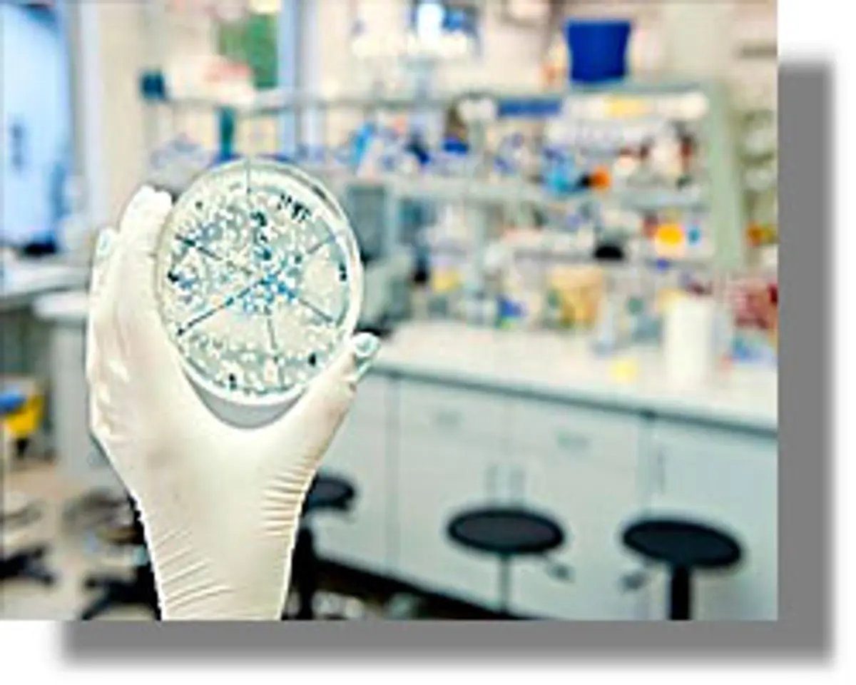 γαστρεντερίτιδα Δωδεκάνησα