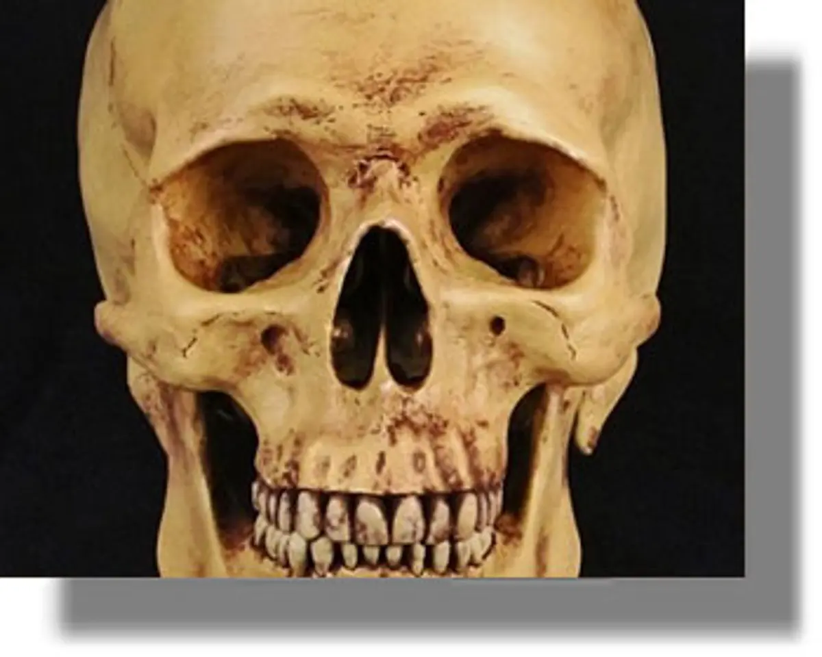 Εντοπισμός τμημάτων ανθρώπινου κρανίου στο Φαρμακονήσι