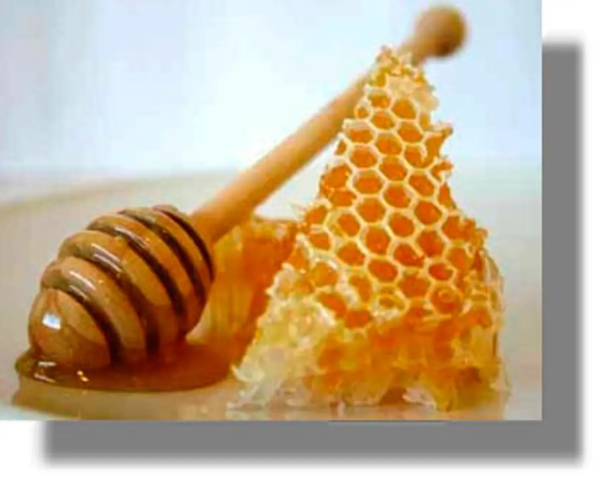 Ξεκίνησαν τα προγράμματα στήριξης της μελισσοκομίας από την Περιφέρεια