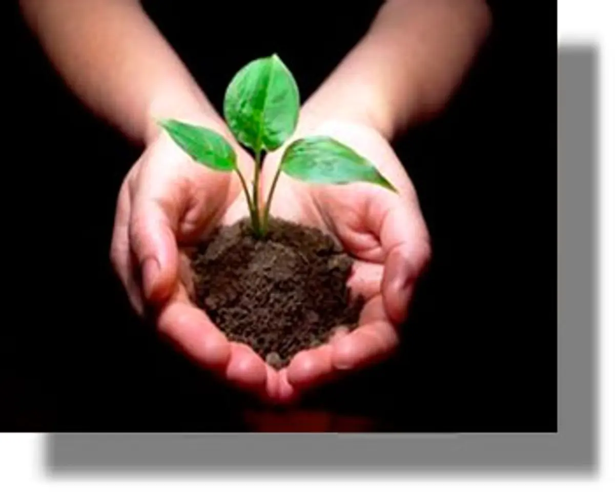 ΛΕΡΟΣ: Κάλεσμα για δεντροφύτευση