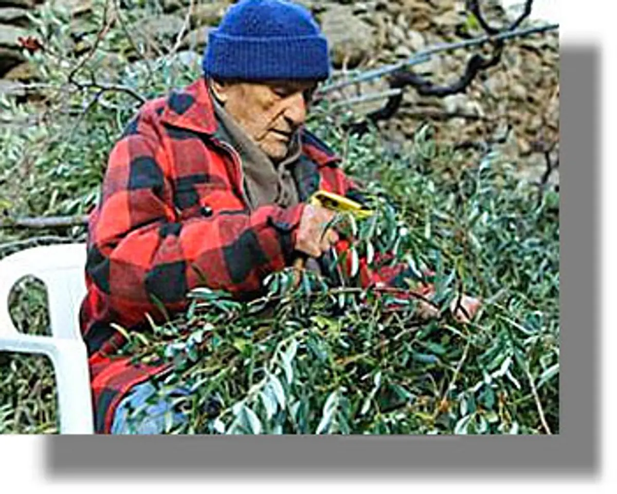 Που οφείλεται η μακροβιότητα των Ικαριωτών;