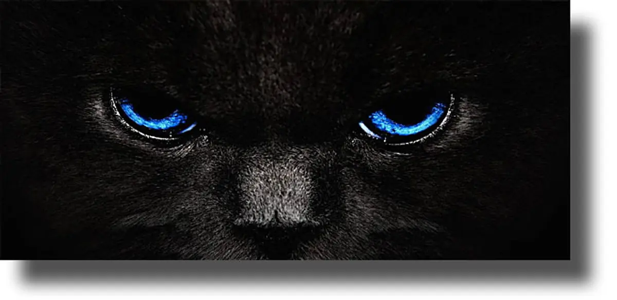 «Δεν έχει σημασία αν η γάτα είναι άσπρη ή μαύρη, αρκεί να πιάνει ποντίκια», Ντενγκ Σιάο-Πινγκ, 1904-1997