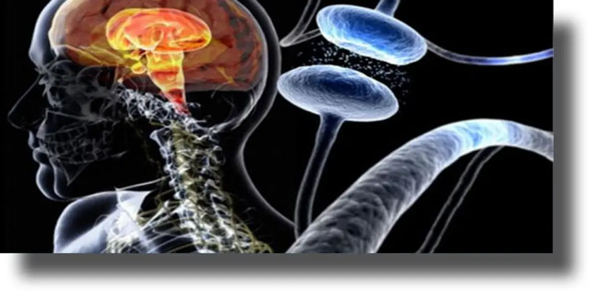 Η νόσος του Πάρκινσον περνάει από το… στομάχι