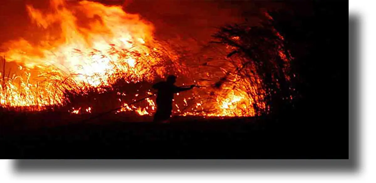 ΠΑΤΜΟΣ: Σύλληψη 79χρονου για εμπρησμό