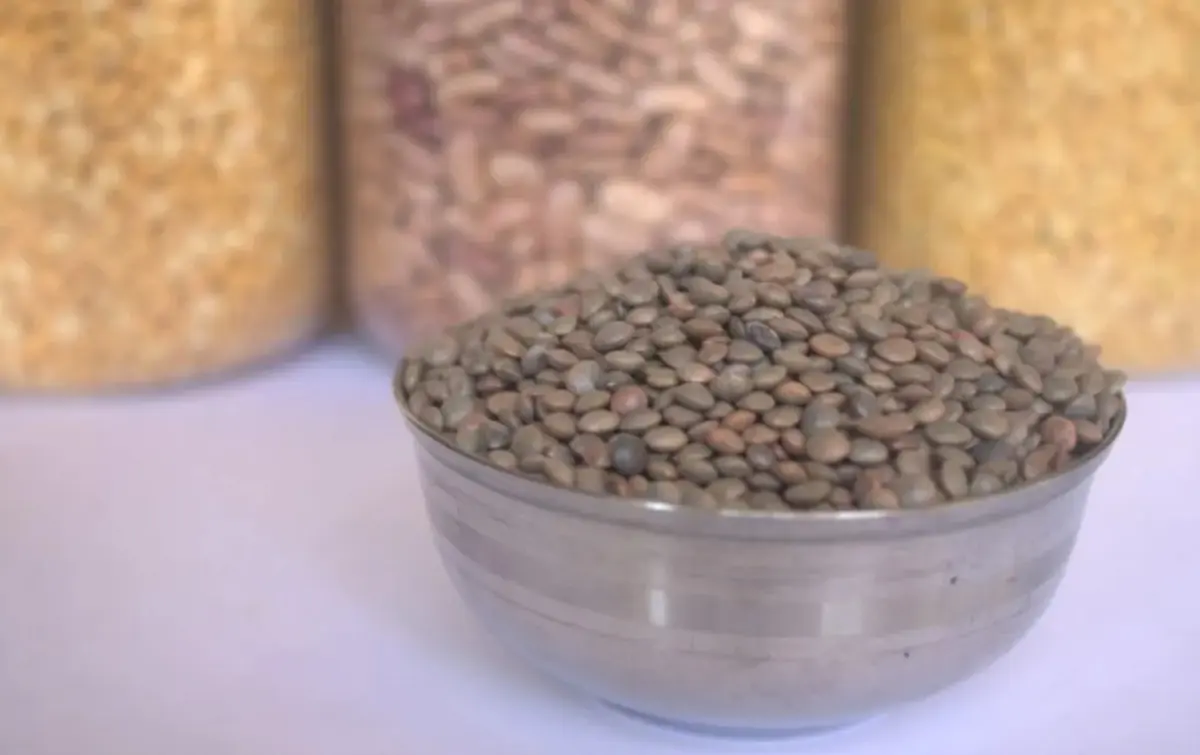 Το όσπριο που «ρυθμίζει» σάκχαρο και χοληστερόλη