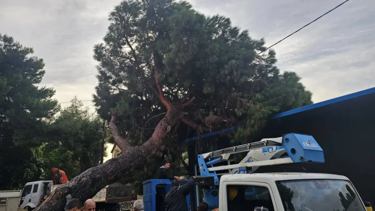 Λέρος: Στους δρόμους η Τεχνική Υπηρεσία του Δήμου για την αποκατάσταση ζημιών